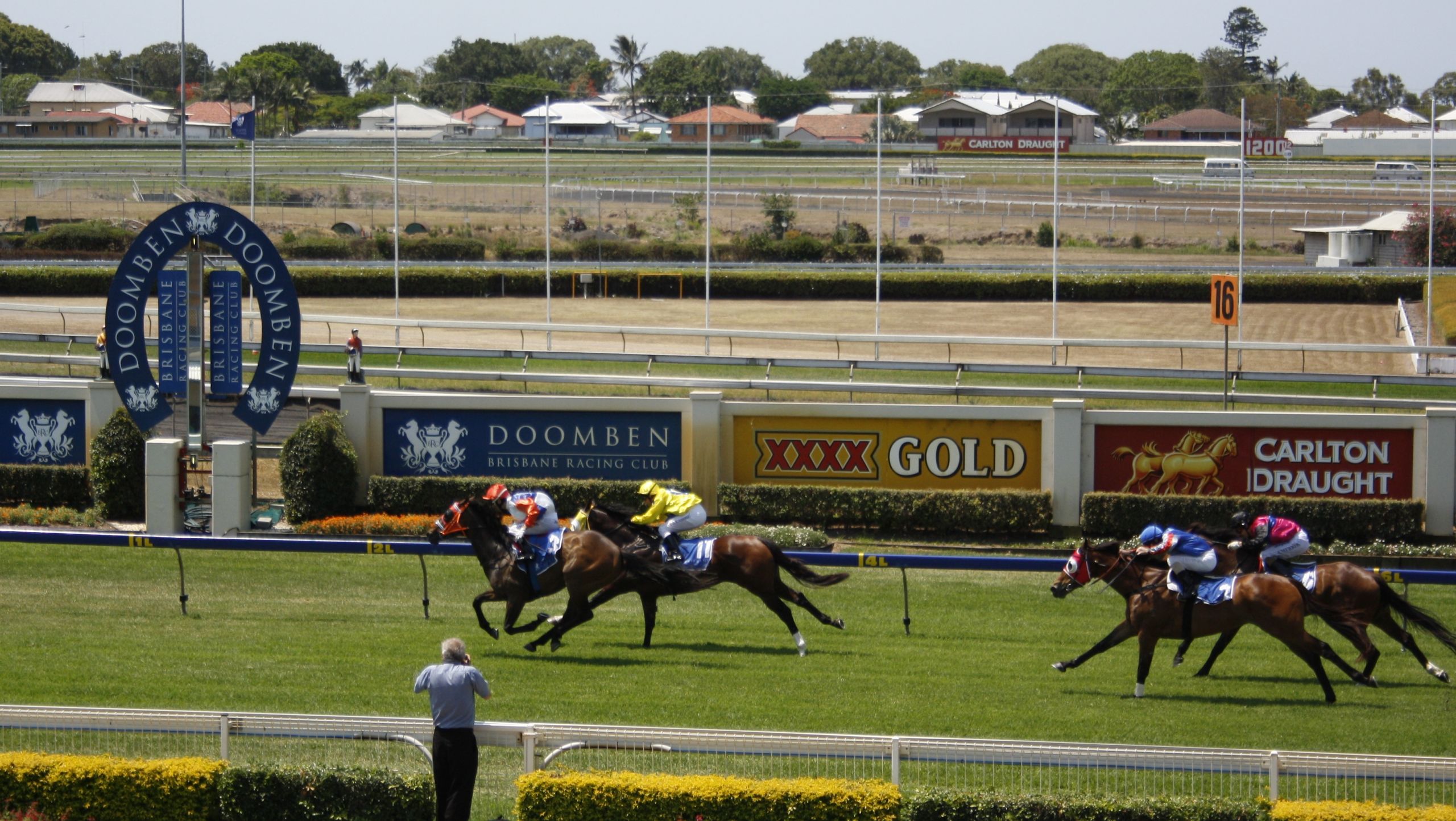 Best Horse Racing Tips in Australia: Where to Find Value Weekly