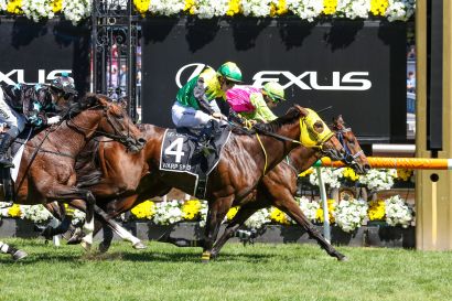 How to Bet on the Melbourne Cup: Markets Explained for Beginners