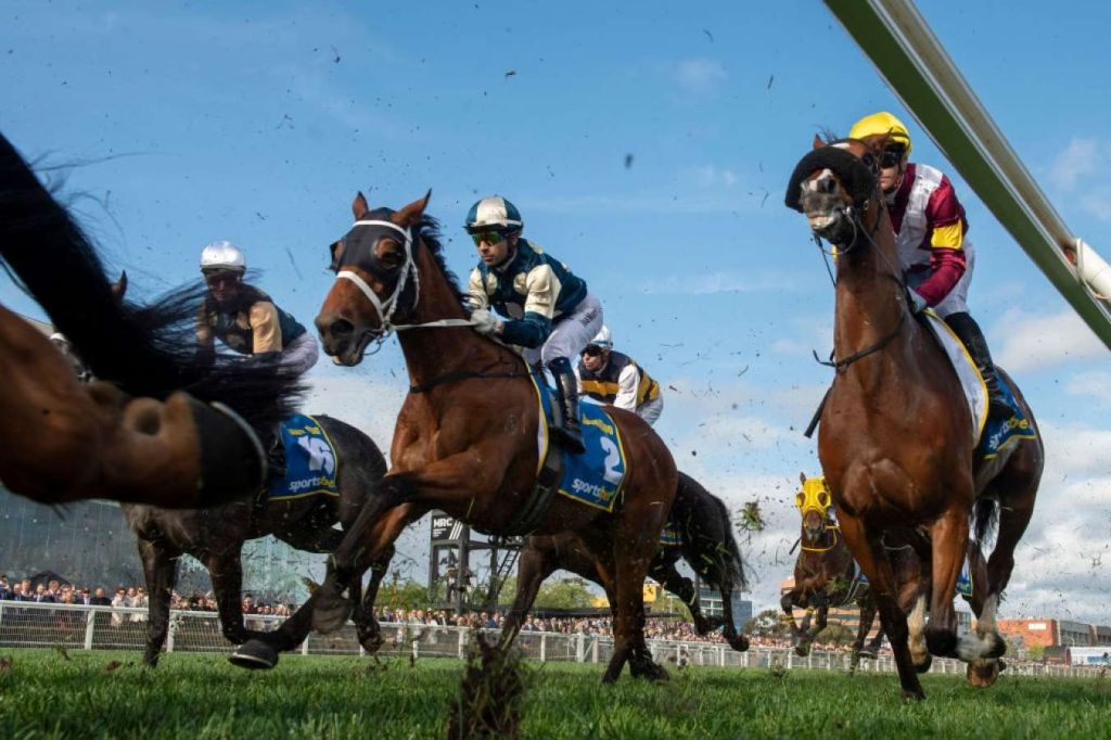 Horse Racing Melbourne Cup​